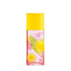 Elizabeth Arden Green Tea...