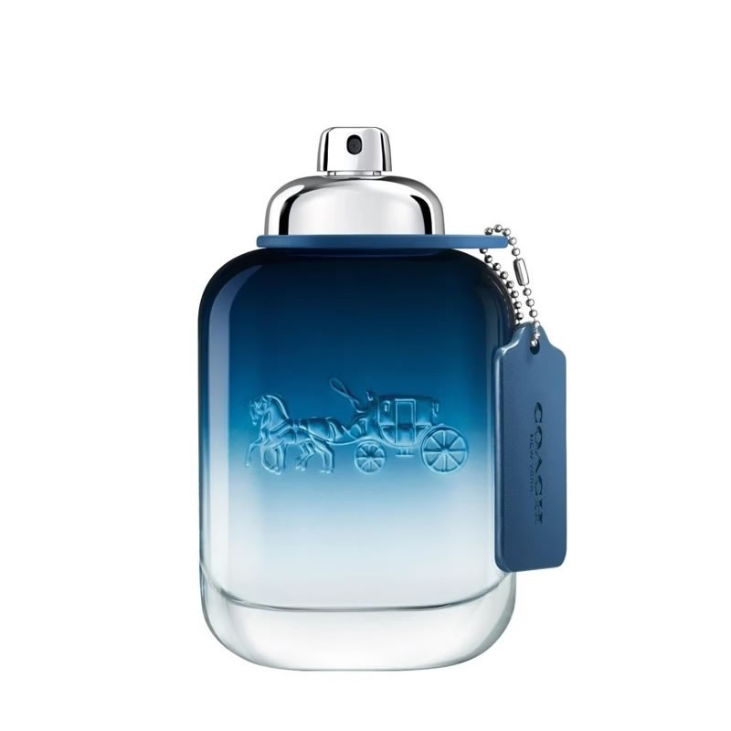 Coach Blue /мъжки/ eau de toilette 100 ml (без кутия) /2017