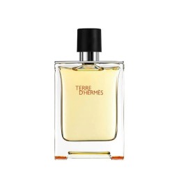 Hermès Terre d'Hermes /мъжки/ eau de toilette 100 ml (без кутия)