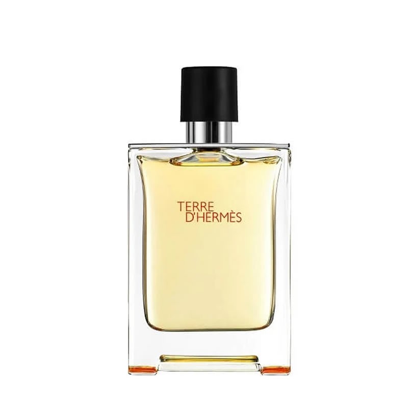 Hermès Terre d'Hermes /мъжки/ eau de toilette 100 ml (без кутия)