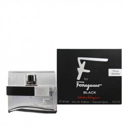 Salvatore Ferragamo F by...